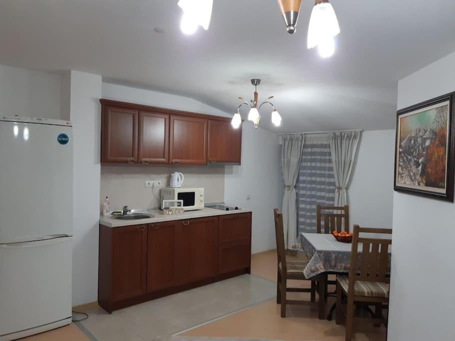Gondola Lift Apartment 班斯科 外观 照片